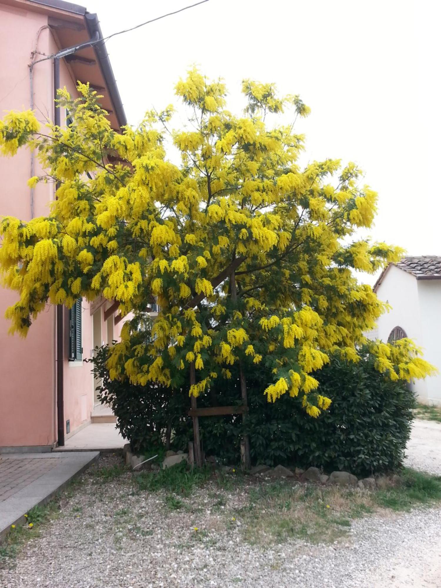 Casa Vacanze Santa Maria Certaldo Zewnętrze zdjęcie
